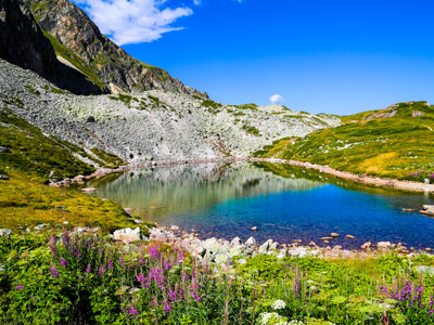 Summer rates Chalet l'Etagne